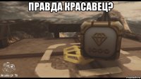 правда красавец? 
