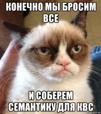 конечно мы бросим все и соберем семантику для квс