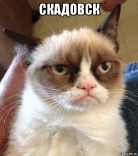 скадовск 