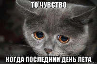 то чувство когда последний день лета