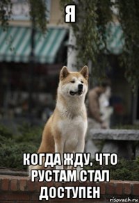 я когда жду, что рустам стал доступен