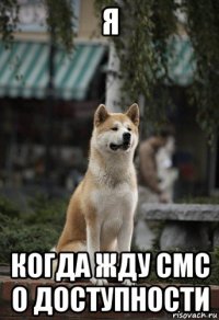 я когда жду смс о доступности