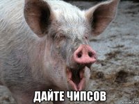 дайте чипсов