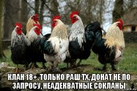  клан 18+, только раш тх, донат не по запросу, неадекватные сокланы