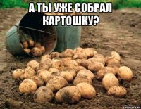 а ты уже собрал картошку? 
