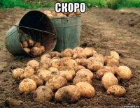 скоро 