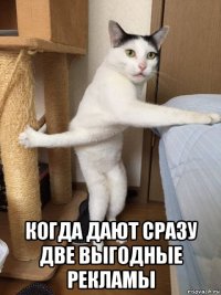  когда дают сразу две выгодные рекламы