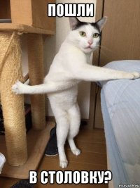 пошли в столовку?