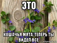 это кошачья мята. теперь ты видел все