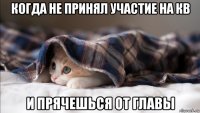 когда не принял участие на кв и прячешься от главы