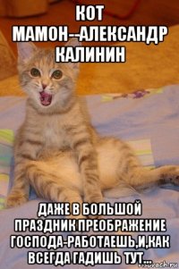 кот мамон--александр калинин даже в большой праздник преображение господа-работаешь,и,как всегда гадишь тут...