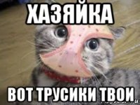 хазяйка вот трусики твои
