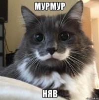 мурмур няв