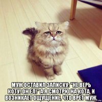  муж оставил записку: "не верь коту! он ел!" а я смотрю на кота, и возникает ощущение, что врёт муж.