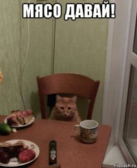 мясо давай! 