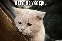 лето не уходи... 