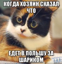 когда хозяин сказал что едет в польшу за шариком