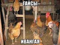 гайсы ивангая