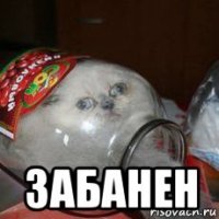  забанен