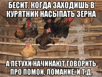 бесит, когда заходишь в курятник насыпать зерна а петухи начинают говорить про помои, ломание, и т.д.