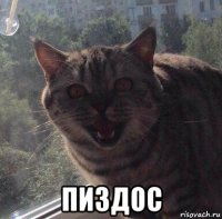  пиздос