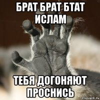 брат брат бтат ислам тебя догоняют проснись