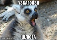 узбагойзя шлюга
