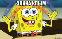 элина клым 