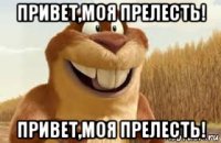 привет,моя прелесть! привет,моя прелесть!