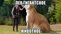 лев гигантское животное