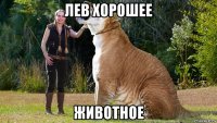 лев хорошее животное