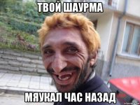 твой шаурма мяукал час назад