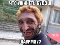 что ужинеть будэш шаурмяу?