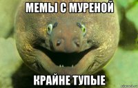 мемы с муреной крайне тупые
