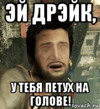 эй дрэйк, у тебя петух на голове!