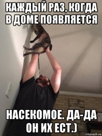 каждый раз, когда в доме появляется насекомое. да-да он их ест.)
