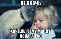 не плачь хочешь я ему морду исцарапую