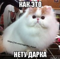 как это нету дарка