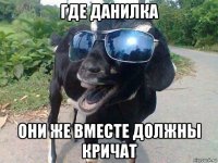 где данилка они же вместе должны кричат