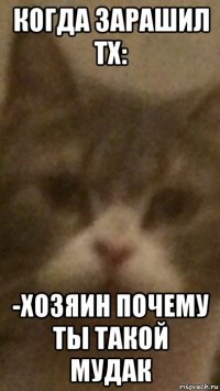 когда зарашил тх: -хозяин почему ты такой мудак