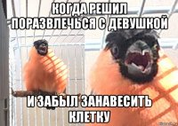 когда решил поразвлечься с девушкой и забыл занавесить клетку