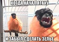когда начал атаку и забыл сделать зелье