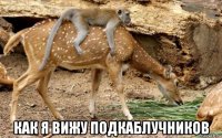  как я вижу подкаблучников