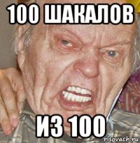 100 шакалов из 100