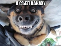 я съел какаху 