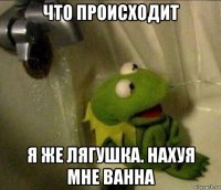что происходит я же лягушка. нахуя мне ванна