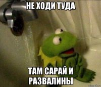 не ходи туда там сарай и развалины
