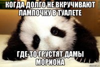 когда долго не вкручивают лампочку в туалете где-то грустят дамы мориона