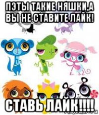 пэты такие няшки,а вы не ставите лайк! ставь лайк!!!!