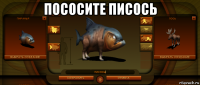 пососите писось 